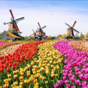 EKSPRESS BENELUX & PARIS 2026 KIS (ORY-AMS) 2